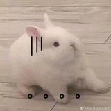 卷发