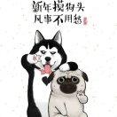 书友76436