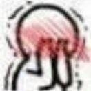 时洵