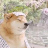 夜落星辰欲语时
