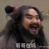 刘大胖不胖