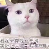 愿赌服输