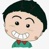 海之鸟翔