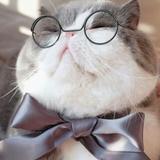 没感情机器猫