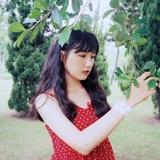 此翔飞彼翔