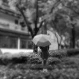 落兮络惜