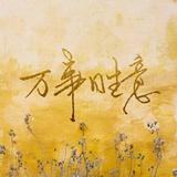 风筝和风