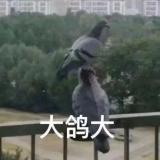 阿如没有钱