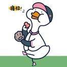 赵小懒，