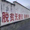 书友10312