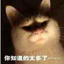 书友91463