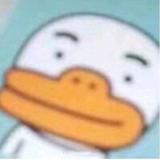 鱼鱼