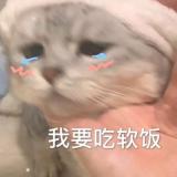 姐姐我不想努力了
