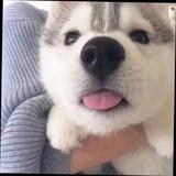 慈祥留恋巷忧伤
