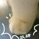 书友08579
