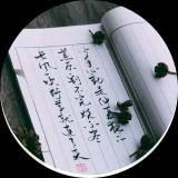 书友28127