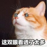 一蓑烟雨