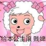 老子就看你不爽
