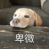 长不高长得胖