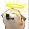 糖小琳