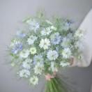 花拾光