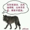书友31923
