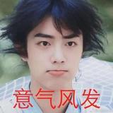 飞星伴月