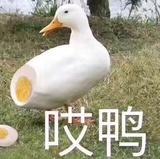 元气少女新之助