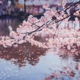 声东击西