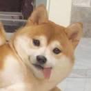 书友23467