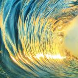 戏里戏外看戏人