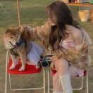 晚安puppy