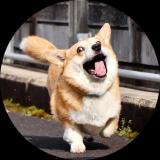 幸而有生之年