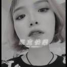 书友14775
