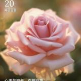 书友04092