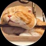 咸咸猫