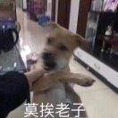 书友03464