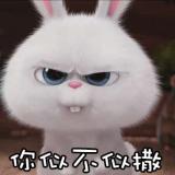 林魄