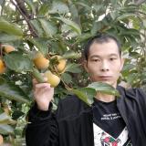 美食缘分