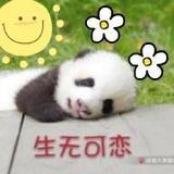 M的豆瓣