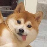 穆图学理