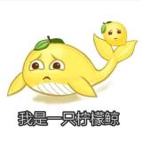 双眼皮飞起来了⚡