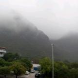 纵酒