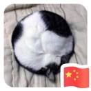 书友66630