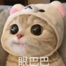 书友04757