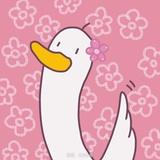 孤岛惊魂