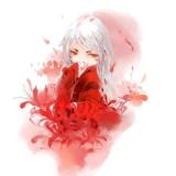 花彼岸 如灯火