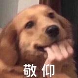 蹦迪的嗩吶