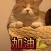 考得好