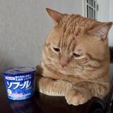 穿堂风。